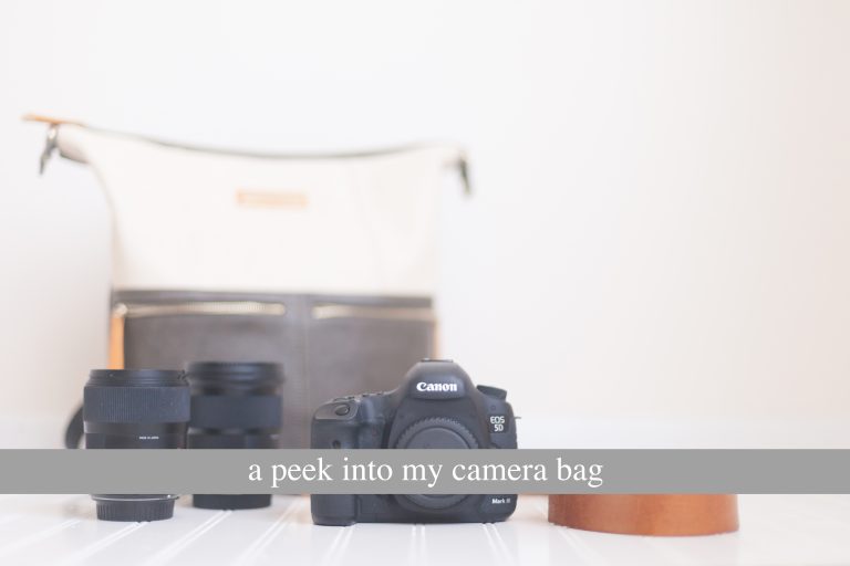 A Peek into my Camera Bag